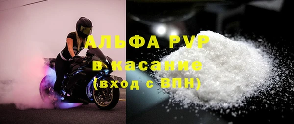 прущие грибы Абдулино