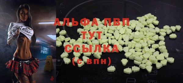 дмт Алексин